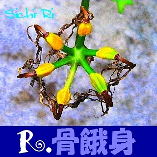 ルート骨餓身(2013/3:44)