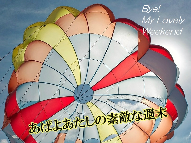 ■Hijiki
■Mrs Lavender
■Tooth Location
■あばよあたしの素敵な週末
■Blue Valley
■Orange
■水系空港
■The Happy Accident
■Blue Girl and Pisco
■Local Line MOMIJI
■紫丹の川
■Club演歌屋 なかむら橋